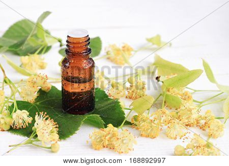 Glass Bottle of extract with drops, fresh yellow Limeflower blossom.