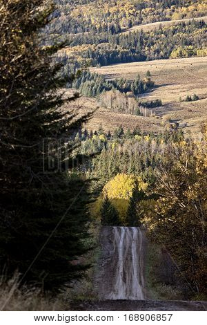 Autumn Colors Cypress Hills Canada