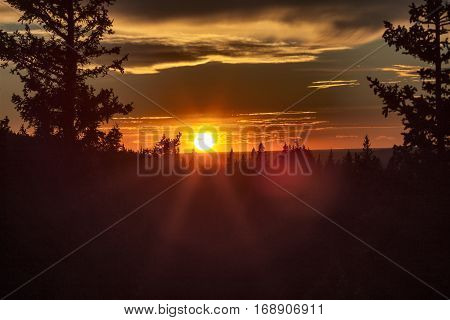 Autumn Colors Cypress Hills Canada