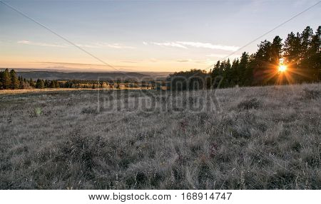Autumn Colors Cypress Hills Canada