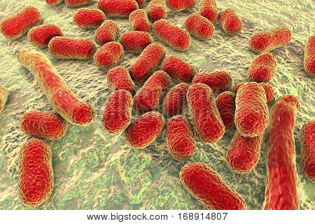 Bacterium Acinetobacter baumannii, multidrug resistant nosocomial bacterium. 3D illustration shows morphology of Acinetobacter such as short rods and sometimes long filamentous cells