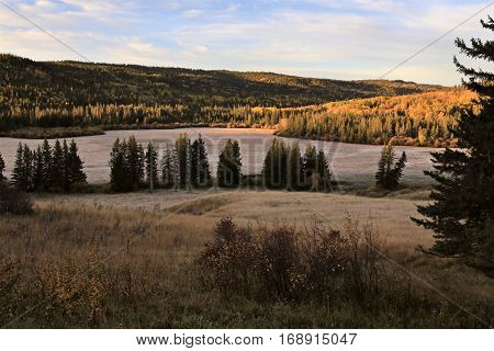 Autumn Colors Cypress Hills Canada
