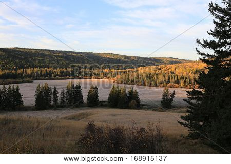 Autumn Colors Cypress Hills Canada