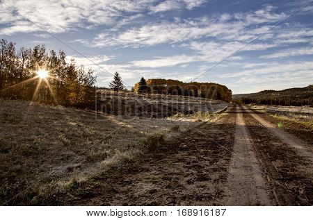 Autumn Colors Cypress Hills Canada