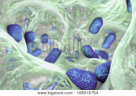 Biofilm of bacterium Acinetobacter baumannii, 3D illustration. Acinetobacter is antibiotic resistant rod-shaped bacterium which causes hospital-acquired infections