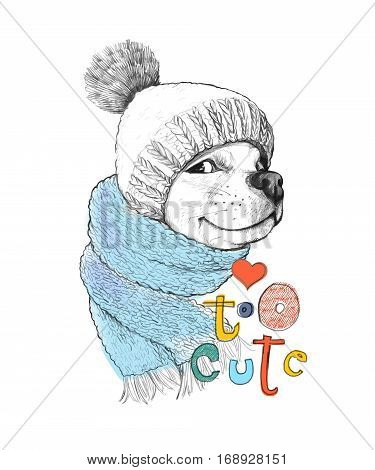 Cute dog in a hat and scarf. Too cute phrase. Hand-drawn illustration of a pencil technique. Design for poster, T-shirt print, cards, banners. Vector illustration.