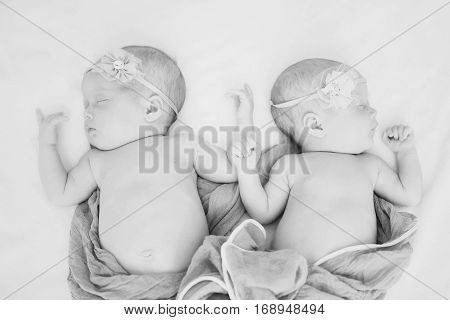 Lovely Newborn Twins