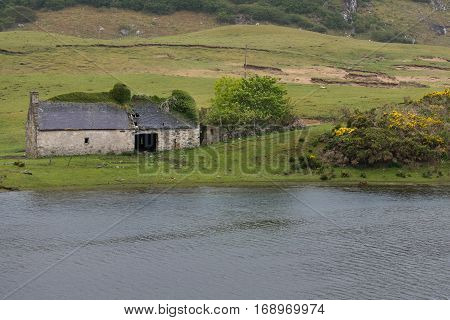 North Coast Scotland - June 6 2012: Hilly green country side along the Naver River in the Northern highlands. Gray half-ruinous barn stands on the shore. Some yellow broom flowers.