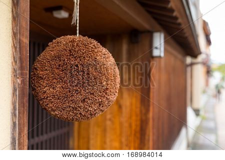 Japanese ceder ball
