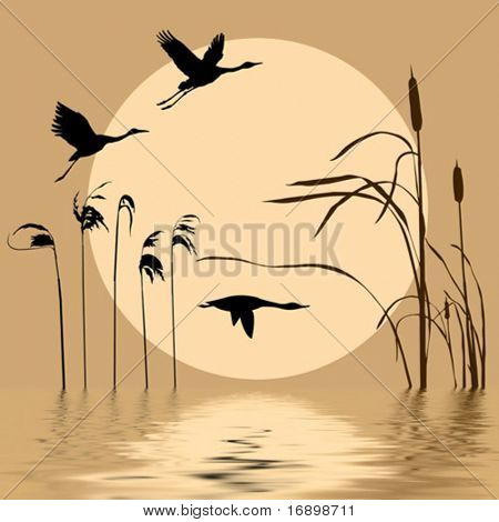 vektorzeichnende fliegende Vögel am Hintergrund so