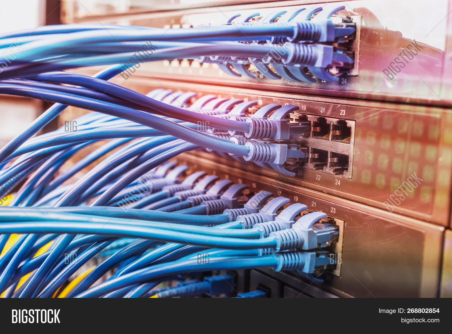 Network Cable Image & Photo (Free Trial) | Bigstock