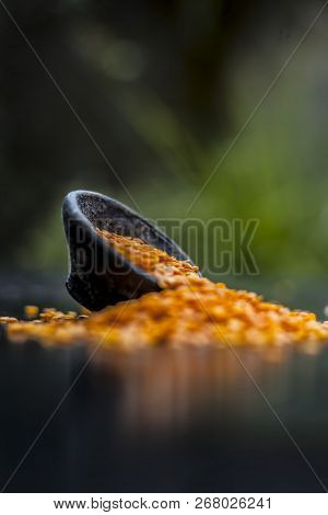 Close Up Of Raw Masur Dal Or Masoor Lentils Or Pink Lentils In A Black Colored Clay Bowl On Wooden S