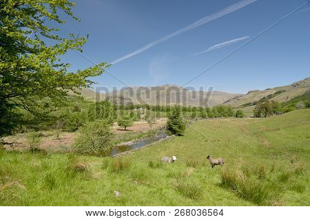 Scenery In The Duddon Valley, Lake District