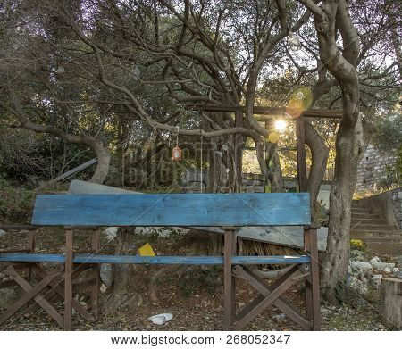 Rustic Bench Under The Trees With The Rays Of The Setting Sun Between Their Branches. Greece