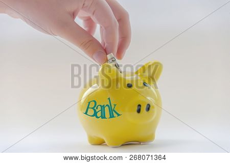 Piggy Piggy Bank With The Inscription Bank. Hand Puts A Dollar In The Piggy Bank. Concept Of Bank De