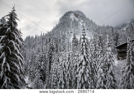 Śnieg drzewa górski Ski Lodge Alpental Washington