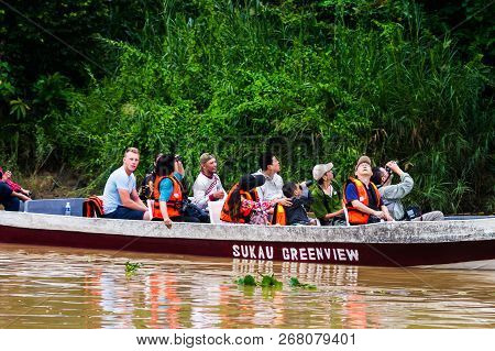 05 October 2013 Sabah. Borneo. Malaysia. Rainforest Along The Kinabatangan River, Sabah, Borneo. Mal