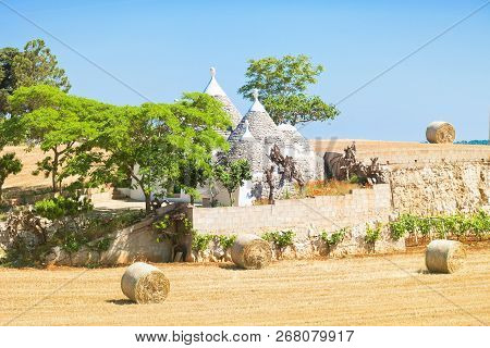 Martina Franca, Apulia, Italy - Traditional Apulian Trulli Farmhouse In Italy