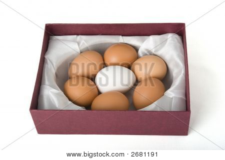 Eier In Box