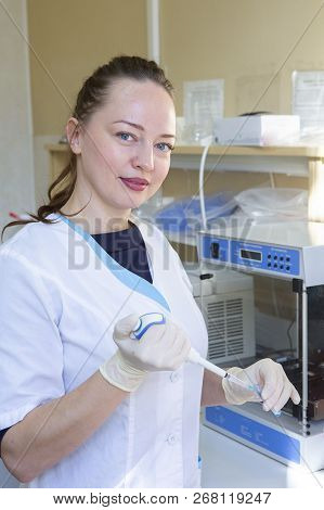 Scientist Working At The Laboratory