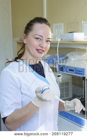Scientist Working At The Laboratory