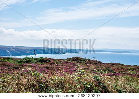 Surrounding Flowering Areas To The Wheel Engine House Ruins, Wheal Coates Mine On Cliffs Near St. Ag