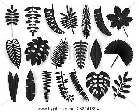 Tropical Black Paper Cut Leaves. Trendy Summer Exotic Plants Elemets With Shadow Isolated On White B