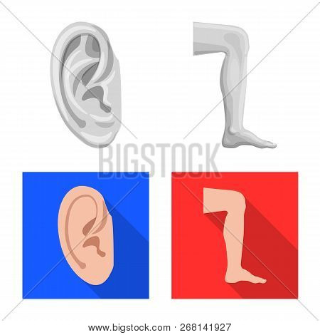 Vector Design Of Human And Part Icon. Collection Of Human And Woman Vector Icon For Stock.