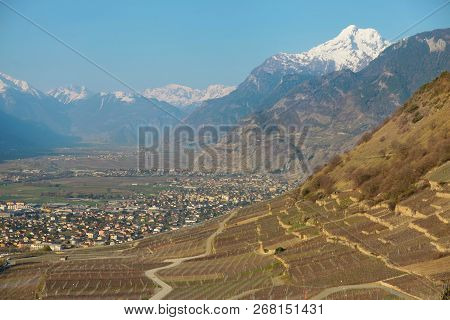 Spring In Switzerland. Vineyard And Mountains. Bright Day