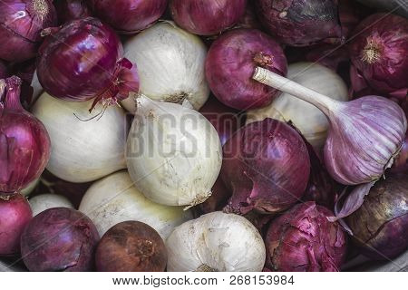 Whole Bulbs Blue And White Onions. Fresh Onion Bulbs Background. Vegetables For A Healthy Diet. Onio