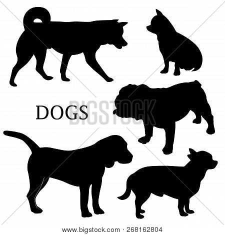 Vector Dog Illustrations. Set Of Black Silhouettes. Different Breeds Of Dogs.