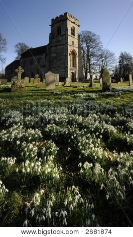 Baddesley Clinton ejendom