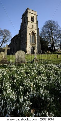 Baddesley Clinton ejendom