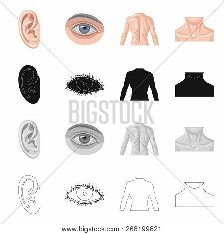 Vector Design Of Human And Part Icon. Collection Of Human And Woman Vector Icon For Stock.