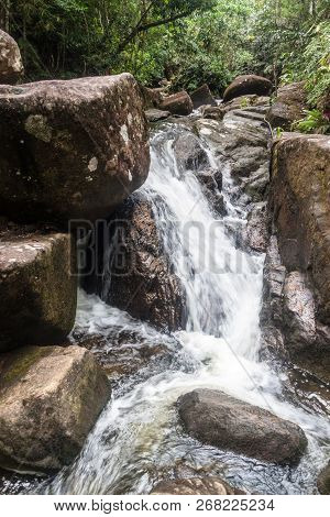 Stream In A Jungle Near Trindade Village Near Paraty, Rio De Janeiro State, Brazil.