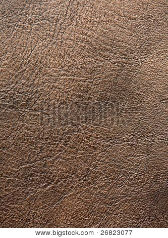 Structure of a leather