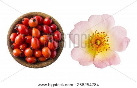 Wild Rose Flower And Fresh Rosehip On White Background. Top View. Rosehip Berries In A Bowl Isolated