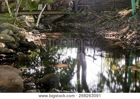 Small Water Pond In A Forest With Reflection Of Trees.
