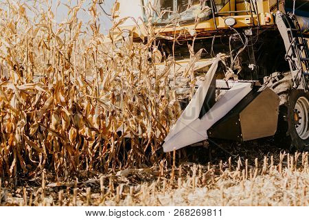 Close Up Details Of Working Farmer With Combine Harverster In The Fields