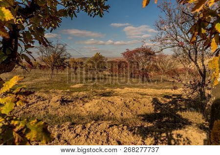 Landscape With Mountain And Meadow With Natural Tree Leaves Border Or Frame. Place For Copyspace.