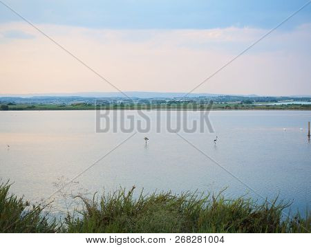 Shot Of The Natural Reserve Park At Granelli Seaside Place. The Shot Is Taken At Sunset In A Summer 