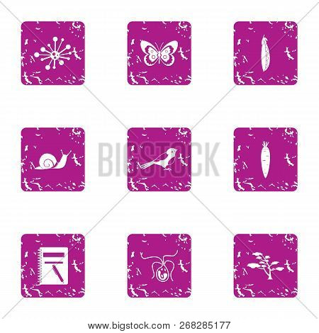 Describe The Bug Icons Set. Grunge Set Of 9 Describe The Bug Vector Icons For Web Isolated On White 
