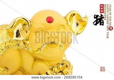 gold piggy bank,Chinese black characters translation: 
