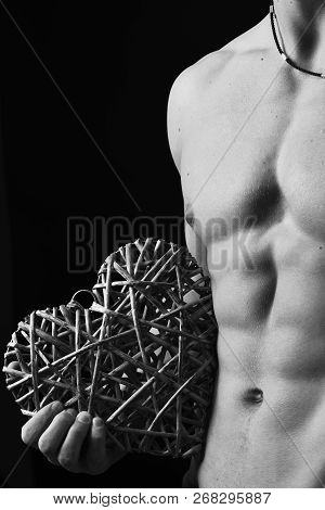 Guys Abs And Strong Chest. Male With Naked Torso