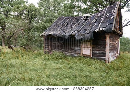 old wooden house in the forest