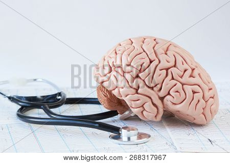 Human Brain Model And A Black Stethoscope On Background Of Brain Waves From Electroencephalography