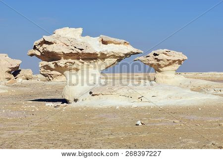 Beautiful Desert Landscape. Western White Desert, Sahara. Egypt. Africa. Aish El - Ghorab. The Mushr