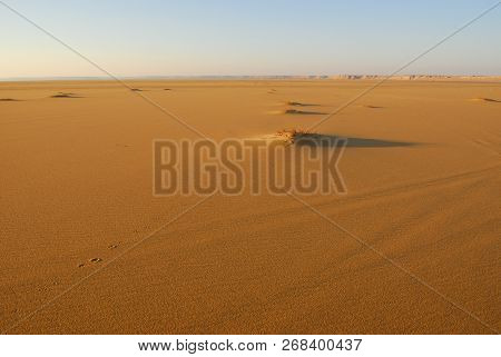 Sahara Desert Beautiful Landscape Nearby Dakhla Oasis In Egypt At Sanset. Africa