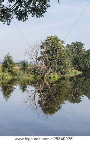 The River Naab Next To Schwandorf In Bavaria In Summer