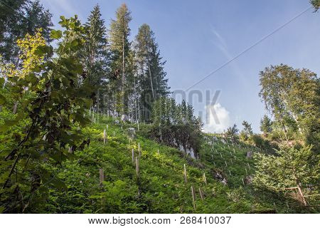 Beautiful Mountain Landscape Next To Werfenweng In The Salzburger Land